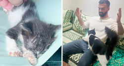 Spasio je mačića koji je bio na izmaku snaga, pogledajte nevjerojatnu transformaciju