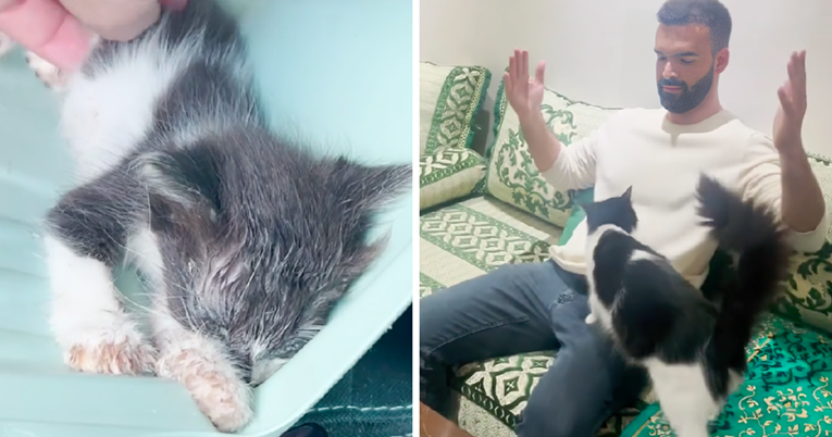 Spasio je mačića koji je bio na izmaku snaga, pogledajte nevjerojatnu transformaciju