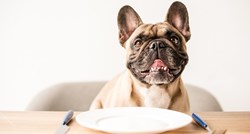 Saznajte kako pravilno hraniti psa i koju hranu odabrati