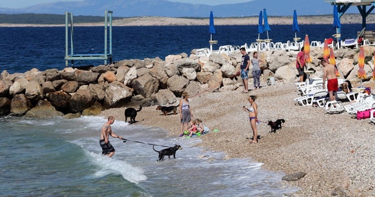 Hrvati na Redditu raspravljaju je li dovođenje psa na plažu higijenski ili nije