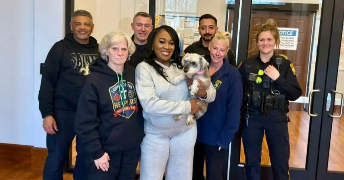 Kujica Koko nestala prije dvije godine pronađena 1600 km dalje od kuće 🥰