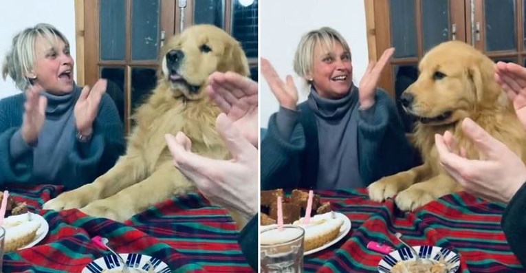 Obitelj psu zapjevala rođendansku pjesmu za stolom, njegovoj sreći nije bilo kraja