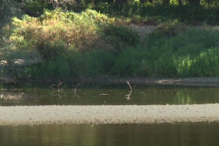 Mura toliko niska da se na nekim mjestima može prehodati