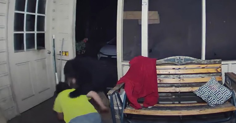 Izuzetno hrabro: Muškarac golim rukama obranio svoje pse od medvjeda