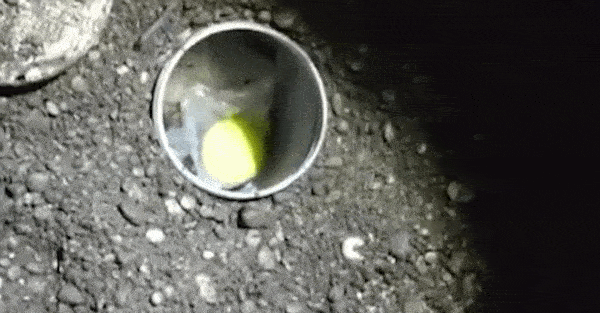 VIDEO Devet uhićenih u Zaprešiću, pronađena hrpa droge. Drogu prodavali u vrtiću