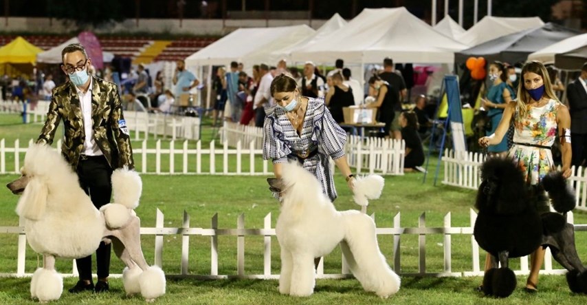 U Splitu počela izložba pasa, okupljaju se vlasnici ljubimaca iz cijelog svijeta