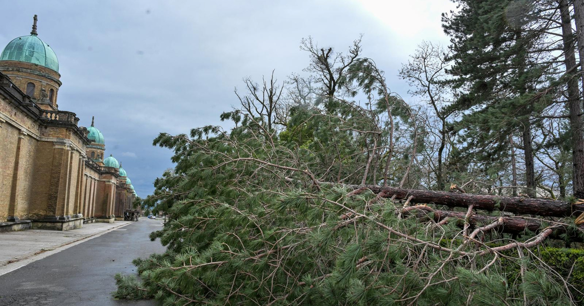 Tomašević zamjenik: Glavni pravci i središte Zagreba izgledaju kao polizani