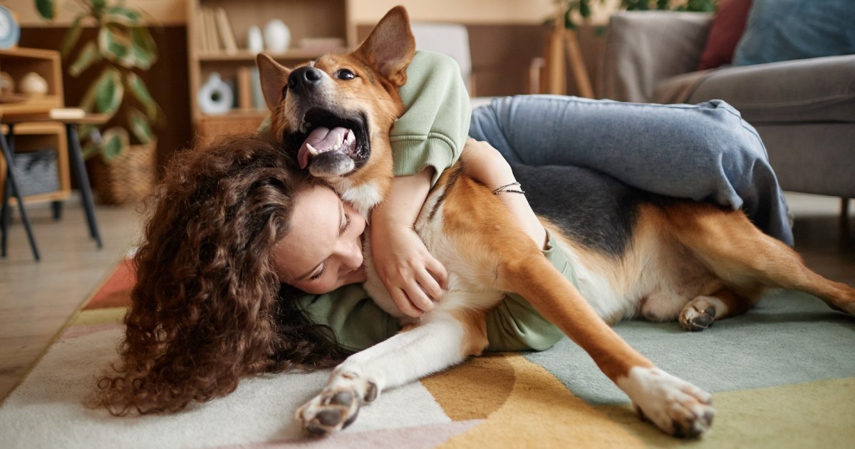 Pet vrsta ponašanja koje psi pokazuju samo prema svojem pravom i jedinom vlasniku