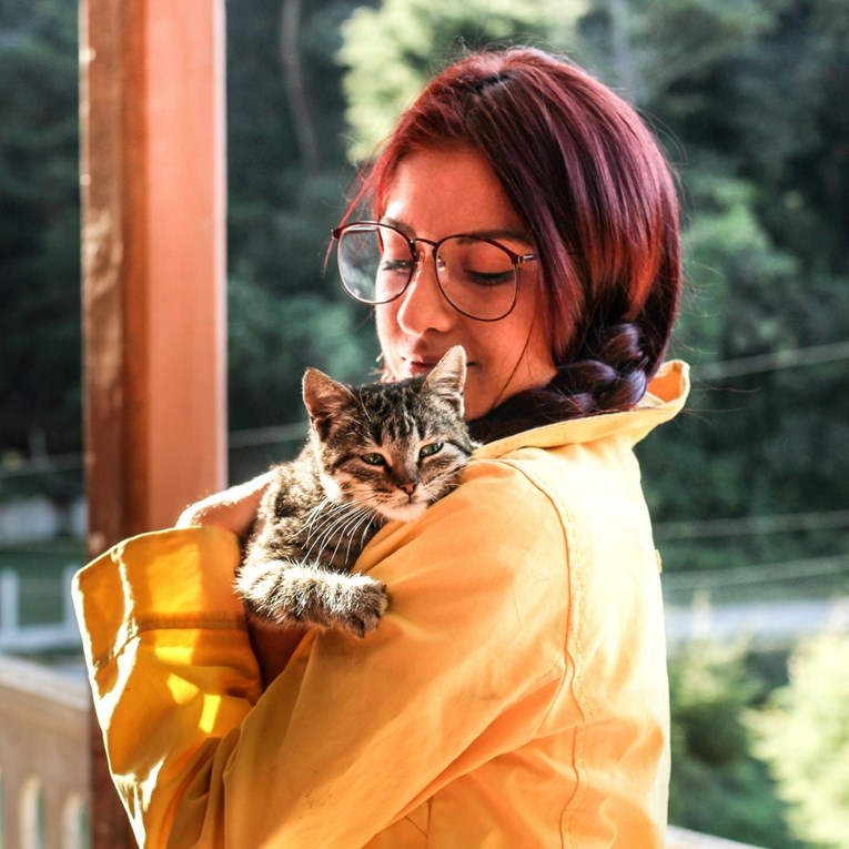 Mačke ne vole sve jednako: Evo kako znati jeste li im omiljena osoba