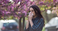 Znanstvenici: Sezona alergija na pelud sve dulja zbog zagrijavanja planeta