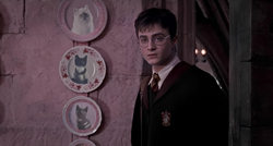 Daniel Radcliffe konačno otkrio hoće li se pojaviti u novoj seriji o Harryju Potteru