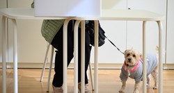 Fotka dana: Preslatki psić strpljivo je čekao vlasnicu da glasa na biračkom mjestu