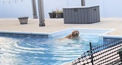Vlasnici postavili ogradu kako bi spriječili psa da skače u bazen. Plan se izjalovio