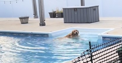 Vlasnici postavili ogradu kako bi spriječili psa da skače u bazen. Plan se izjalovio