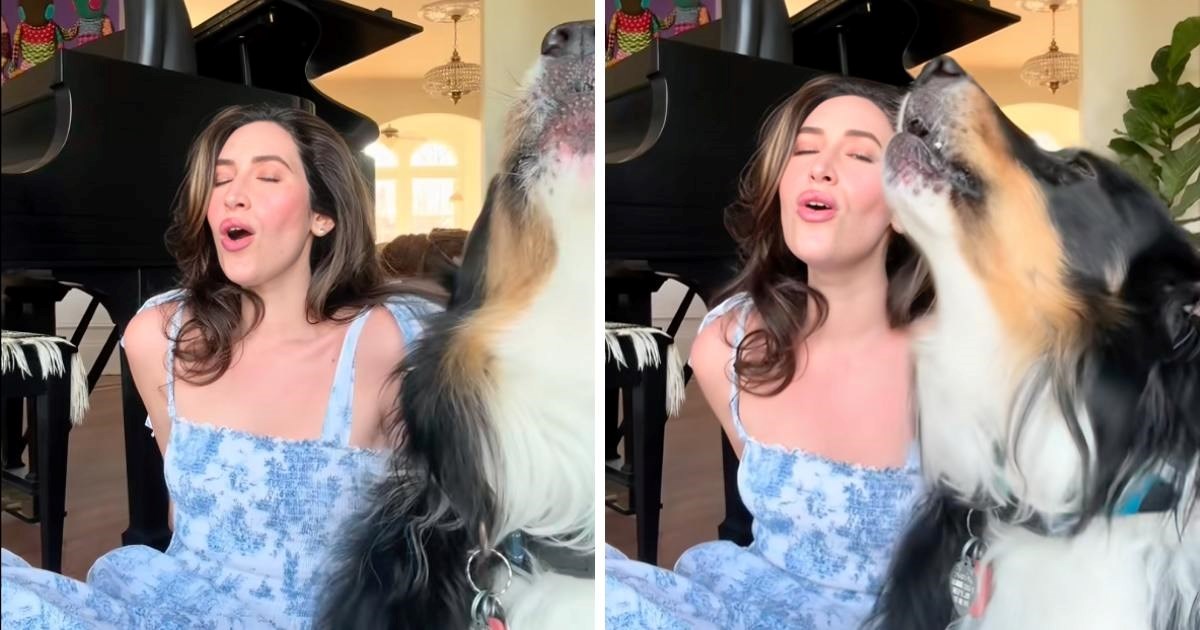 Pas koji "pjeva" dok vlasnica pjevuši melodiju iz poznatog filma oduševio ljude
