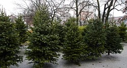 U Zagrebu će besplatno odvoziti božićna drvca