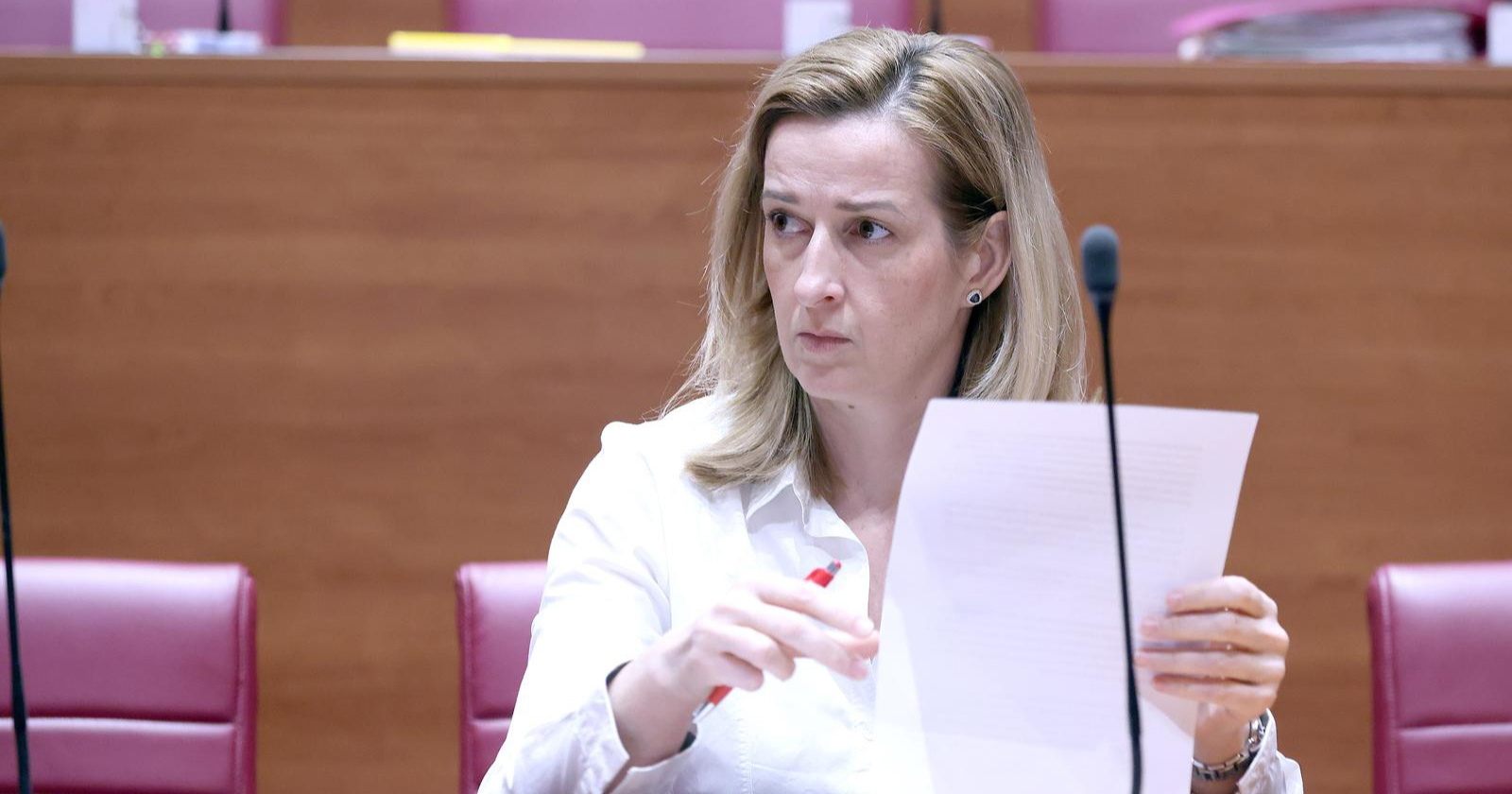 Ahmetović o švicarcu: SDP bi našao način kako zaštititi građane, kao što smo i 2015.
