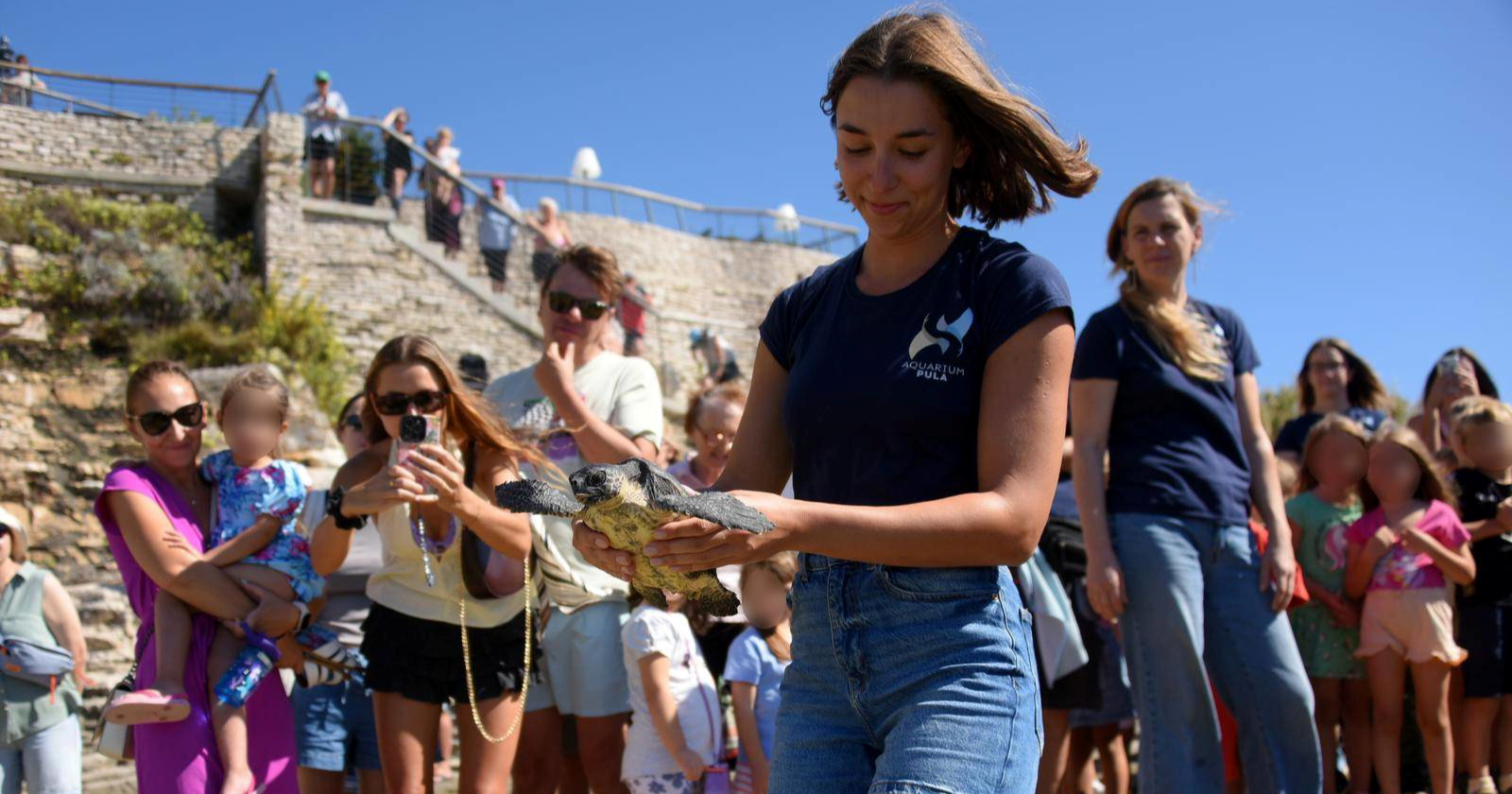 U Puli osam glavatih želvi vraćeno u more