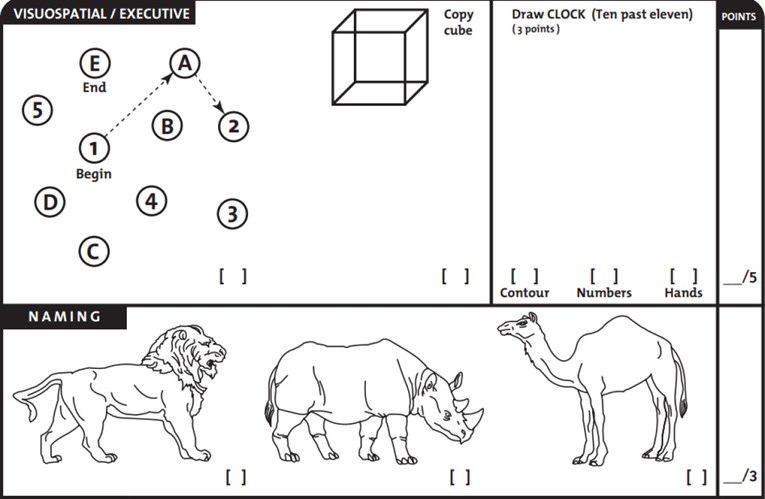 Ovo je primjer testa na kojem je Trump imao 30 od 30