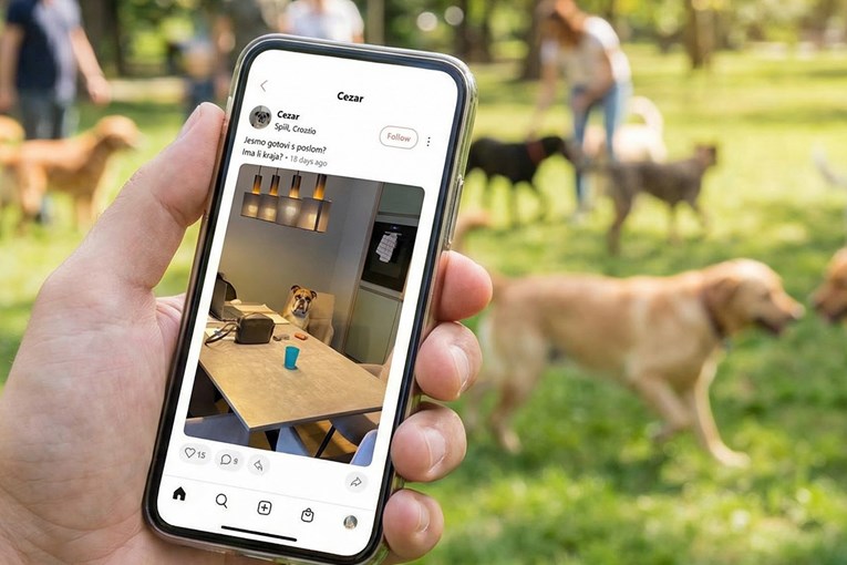 Dujo osmislio aplikaciju u kojoj su ljubimci influenceri. "Imamo Josipa Lisca i Pepu"