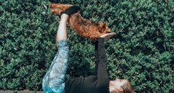 Psi koji sa svojim vlasnicama vježbaju jogu novi su hit na internetu