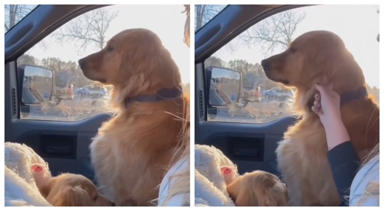 Video psa koji se duri jer je dobio sestru postao viralan. Ne želi gledati u vlasnicu