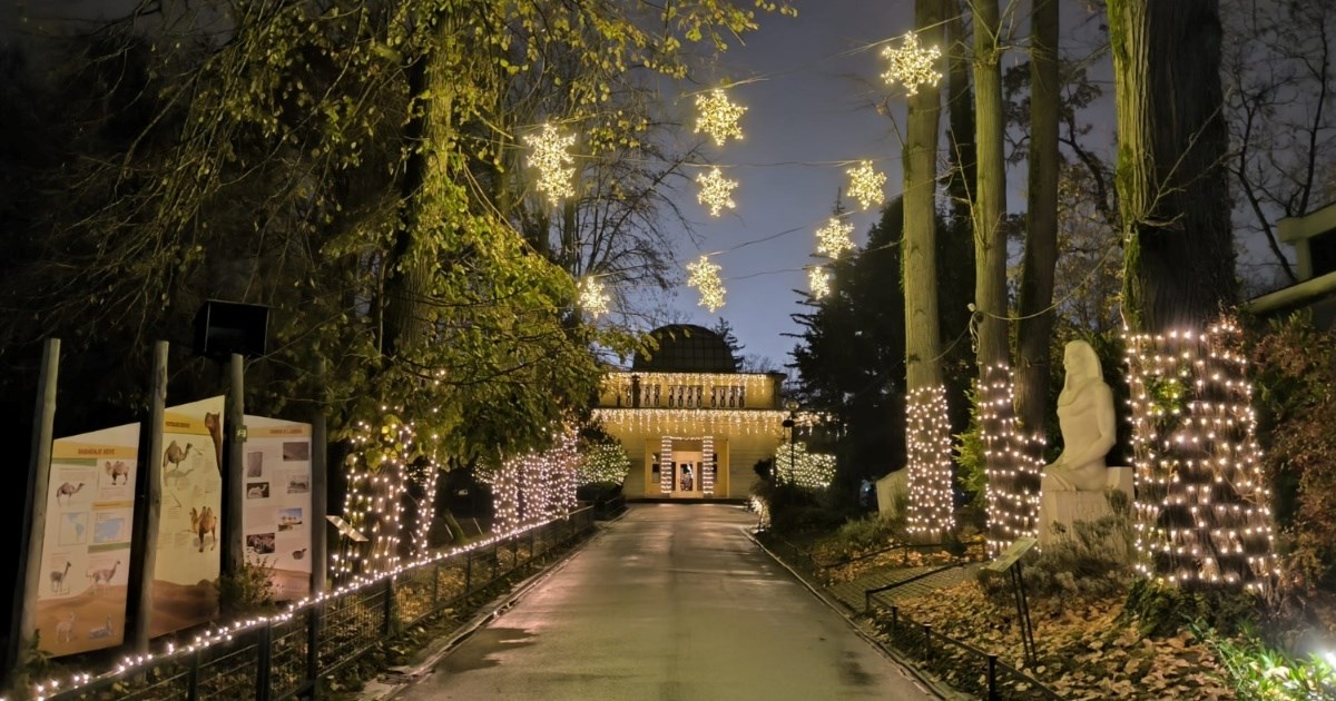 U subotu počinje Advent u zagrebačkom ZOO-u, evo što očekuje posjetitelje