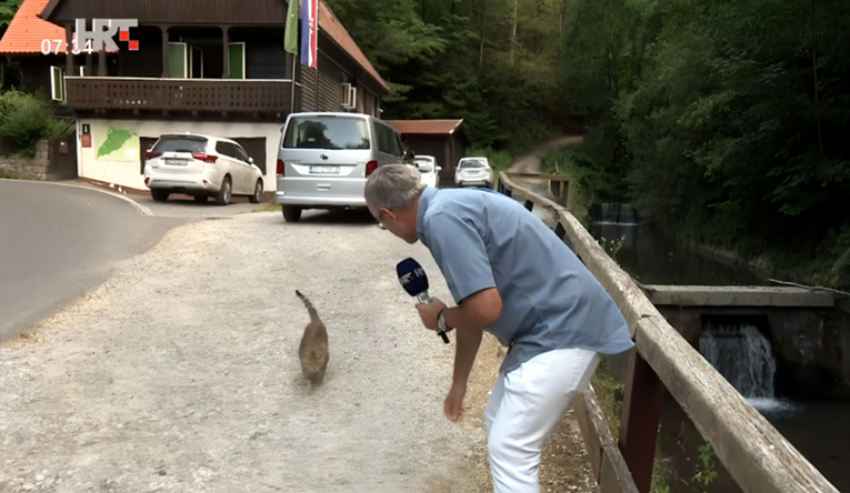 Meštar se javljao sa Sljemena za Dobro jutro, Hrvatska, a onda mu uletjela mačka