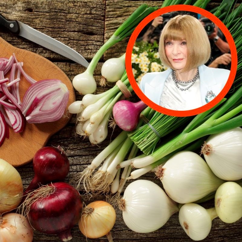 Anna Wintour strogo je zabranila da se ove tri namirnice posluže na Met Gali