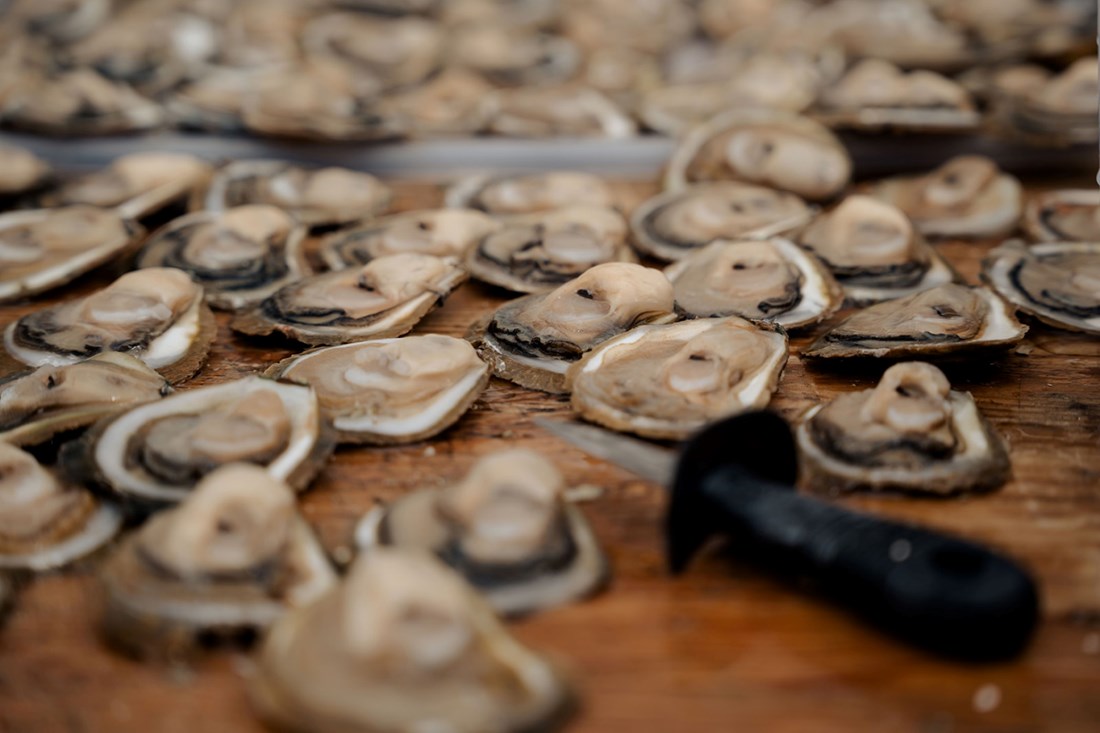 Znate li što su limske oštrige? Sve što trebate znati o poznatim istarskim školjkama