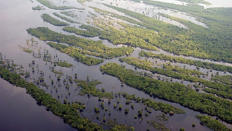 Šefovi amazonskih država sastaju se za spas najveće svjetske prašume