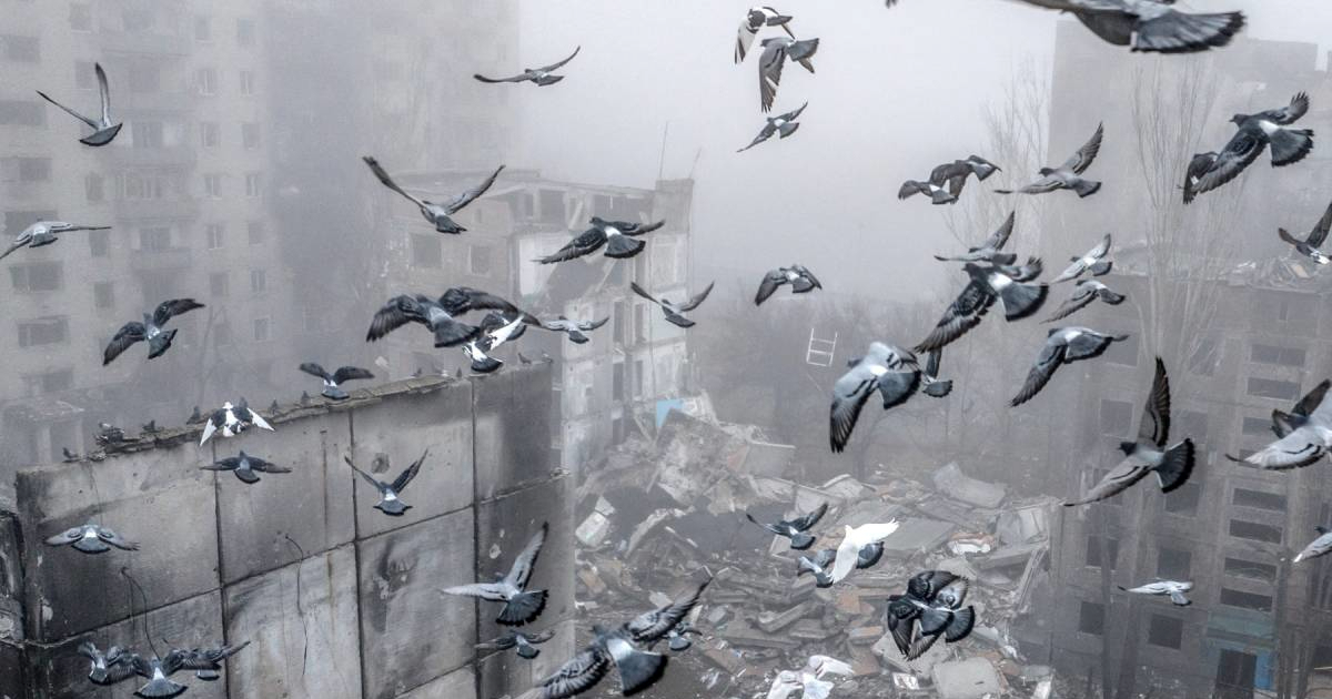 Mirovni pregovori su mrtvi. Putin diže novu vojsku, Ukrajina čeka čudo