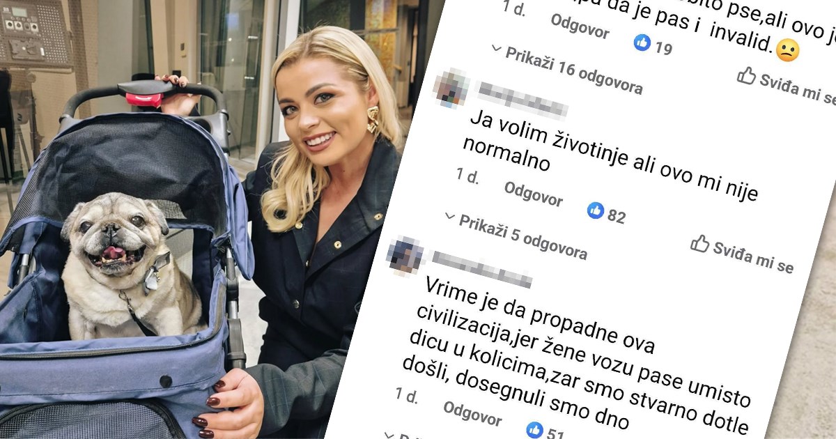 Andreu Šušnjaru napali jer psa vozi u kolicima: "Ovo je previše"