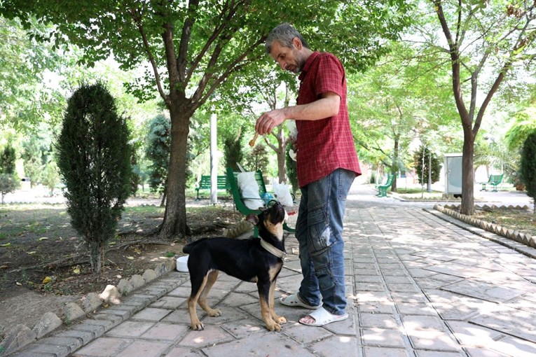 Iran zabranio šetanje pasa u dvadesetak gradova. "Oni su nečisti i simbol Zapada"