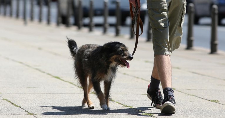 Jednostavno pravilo pet sekundi otkriva je li vašem psu prevruće za šetnju