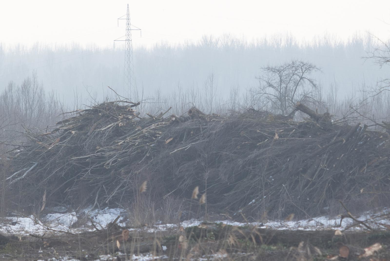 Muškarac (61) iz Nove Gradiške ukrao preko 11 kubika drva iz šume