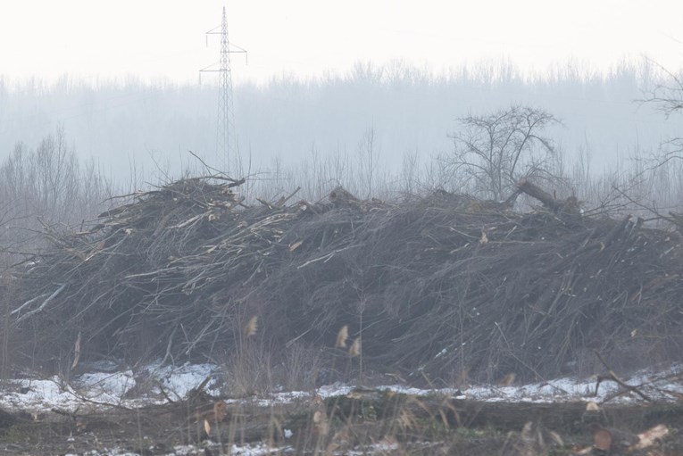 Muškarac (61) iz Nove Gradiške ukrao preko 11 kubika drva iz šume