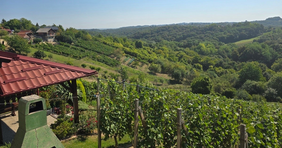 Top oglasi za nekretnine: Idilična kuća za odmor s vinogradom u Varaždinskim Toplicama