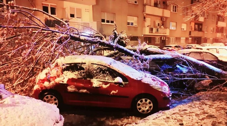 Snijeg i vjetar stvorili velike probleme po Hrvatskoj, stabla padala na aute