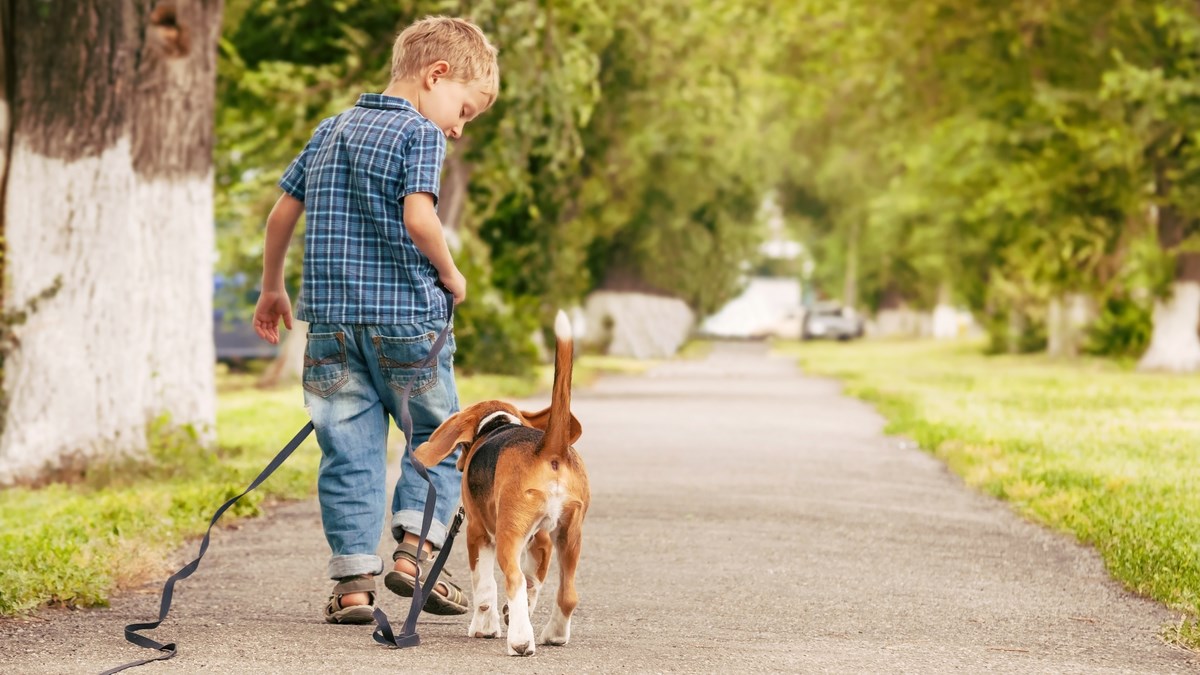 Saznajte sve o socijalizaciji i habituaciji pasa na zanimljivom predavanju
