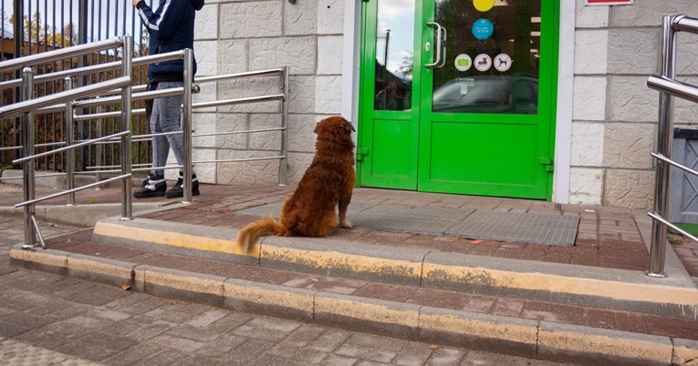 Pas lutalica zaklon od hladnoće potražio u trgovini. Prizor je posvađao ljude