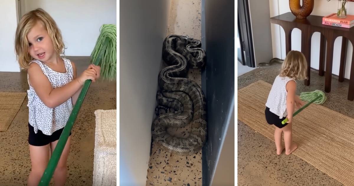 Internet bruji o Australcu koji je djetetu pokazao kako se riješiti zmije u kući