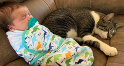 Mačak se uvalio u bebinu sjedalicu, njezin izraz lica najsmješniji je na svijetu