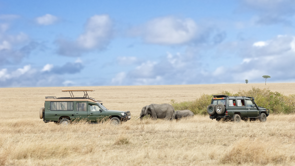 Upoznajte prekrasnu i divlju Afriku te budite dio virtualnog safarija