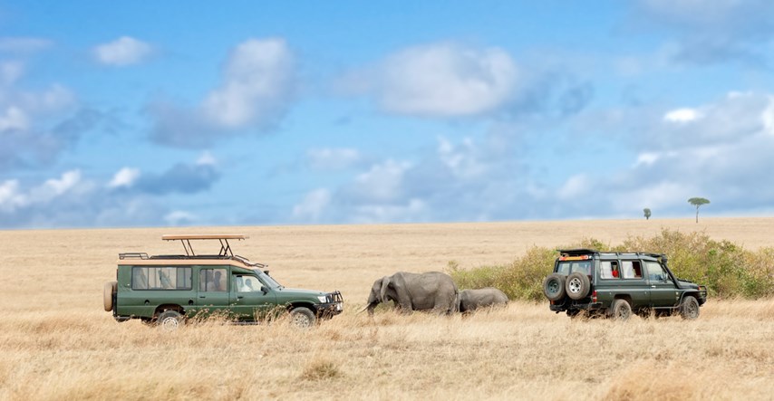 Upoznajte prekrasnu i divlju Afriku te budite dio virtualnog safarija