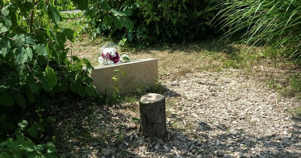 U Parizu posječeno stablo posvećeno Židovu ubijenom 2006. Macron: To je čin mržnje