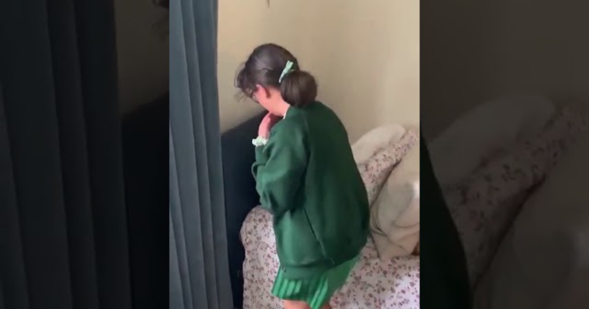 Djevojčica je izgubila mačka. Devet mjeseci kasnije čekao ju je ispod jastuka