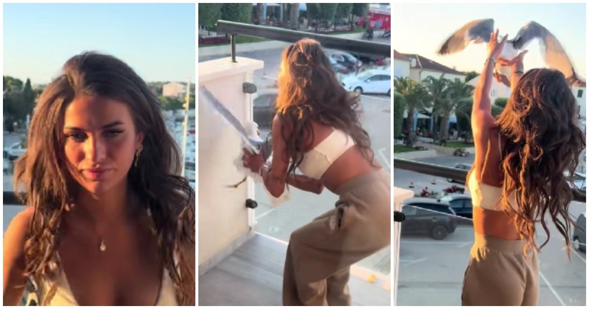 "Kraljica nije ni trepnula": Irkinja spasila galeba na Pagu i oduševila Hrvate