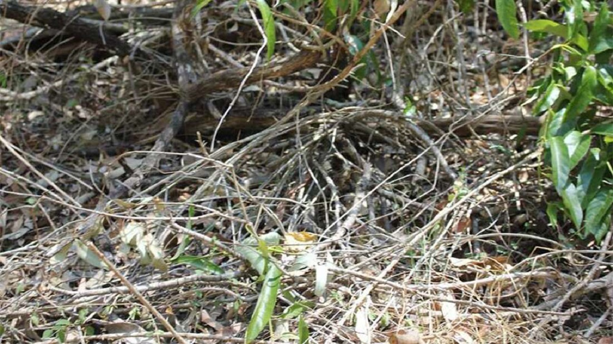 Koliko vam treba da uočite opasnost na ovoj fotografiji?