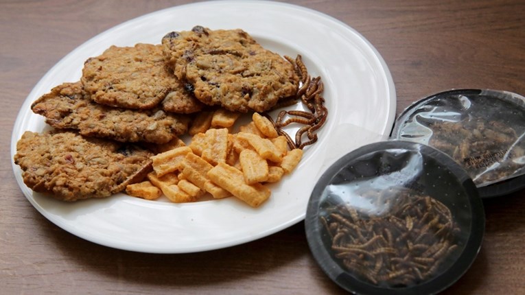 Kukac je prvi put u Europskoj uniji odobren za jelo, evo o čemu se radi